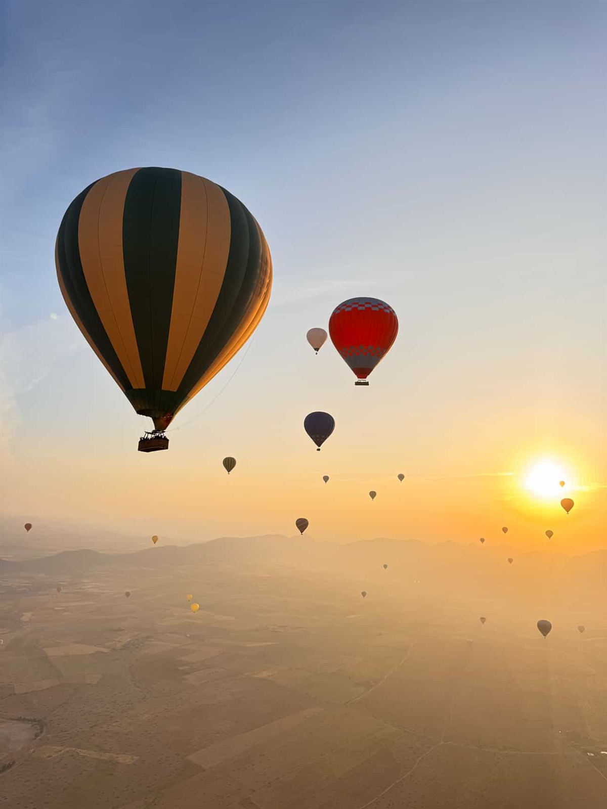 Balloons rising towards the sun